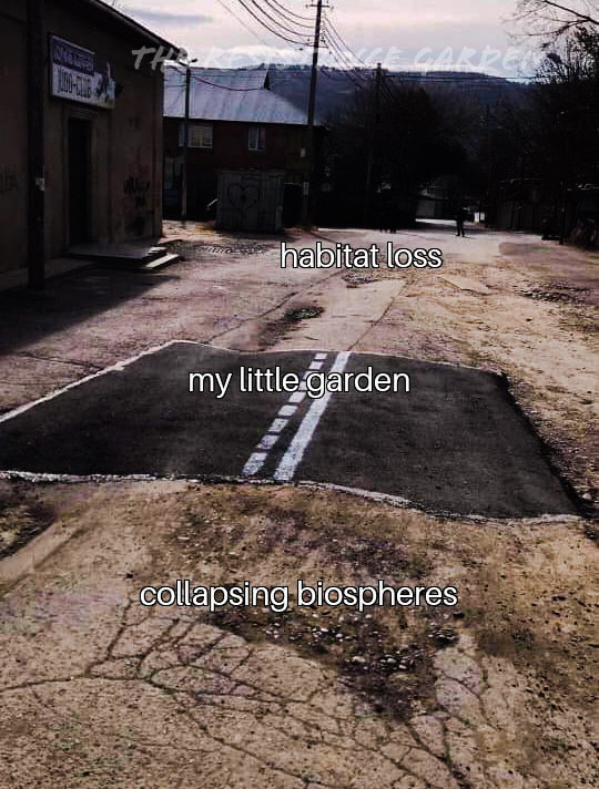 This meme is a humorous take on the concept of a "little garden" in a desolate or abandoned environment. The image shows a cracked and worn-out road with a "little garden" marked in the middle, with the text "my little garden" written above it. The text below it reads "collapsing biospheres" and "habitat loss", implying that even the most optimistic and small-scale efforts (like a "little garden") are not enough to save the environment from the effects of "collapsing biospheres" and "habitat loss".